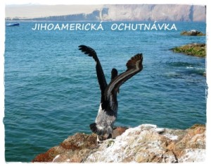 Jihoamerická ochutnávka - pelikán v Peru